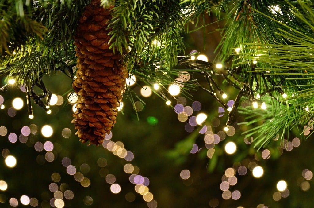 Noël : surprenez vos proches avec des cadeaux originaux